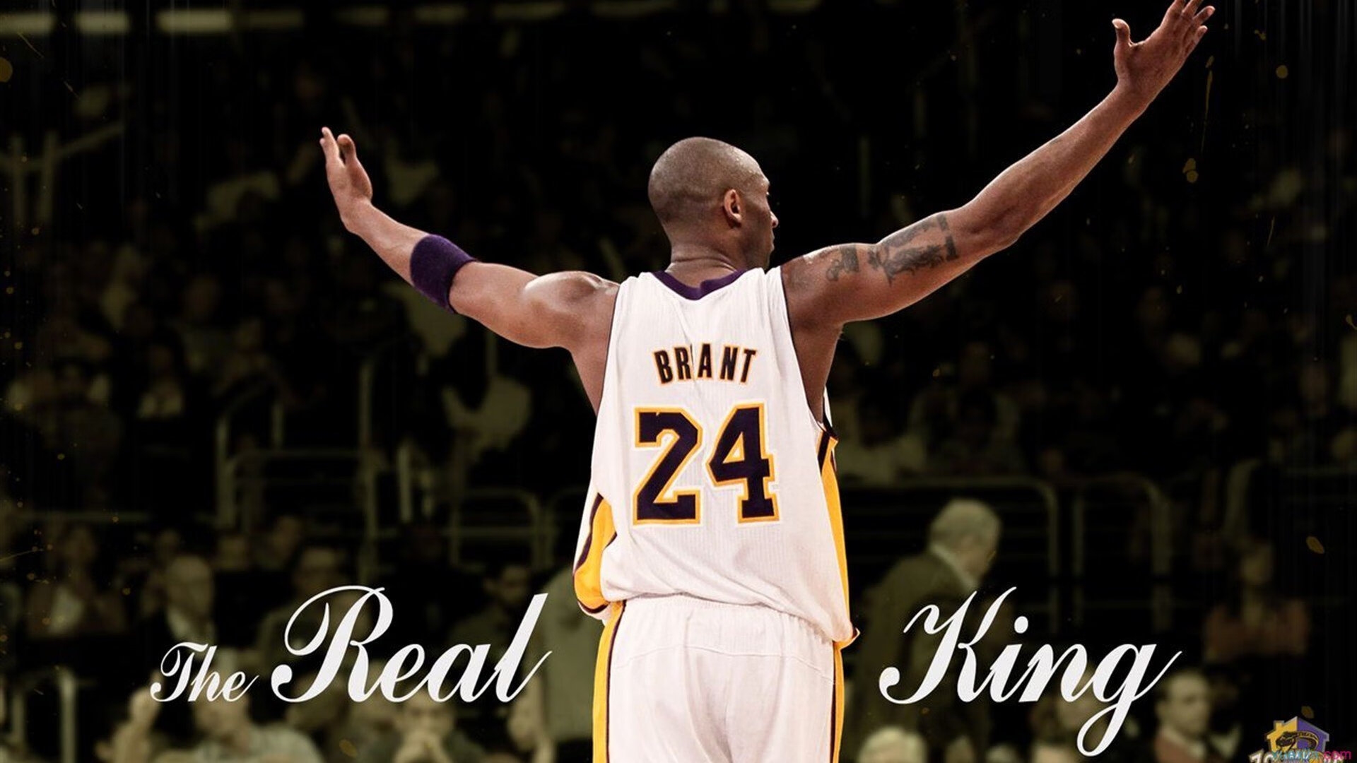 开云体育最新地址-“爆发式全场攻势，比分不断刷新纪录，比赛精彩绝伦”，爆发力爆棚